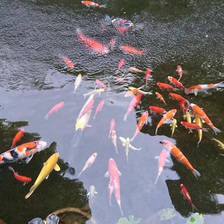 Gyokutei Hotel Hakone Luaran gambar