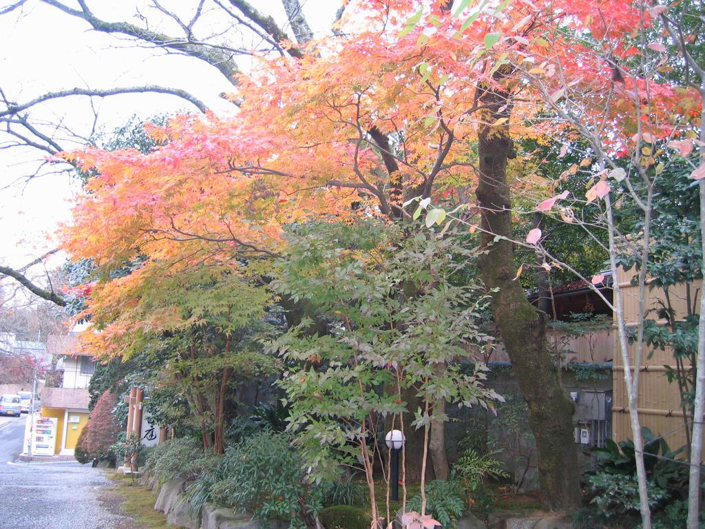 Gyokutei Hotel Hakone Luaran gambar