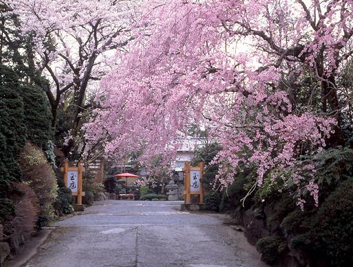 Gyokutei Hotel Hakone Luaran gambar