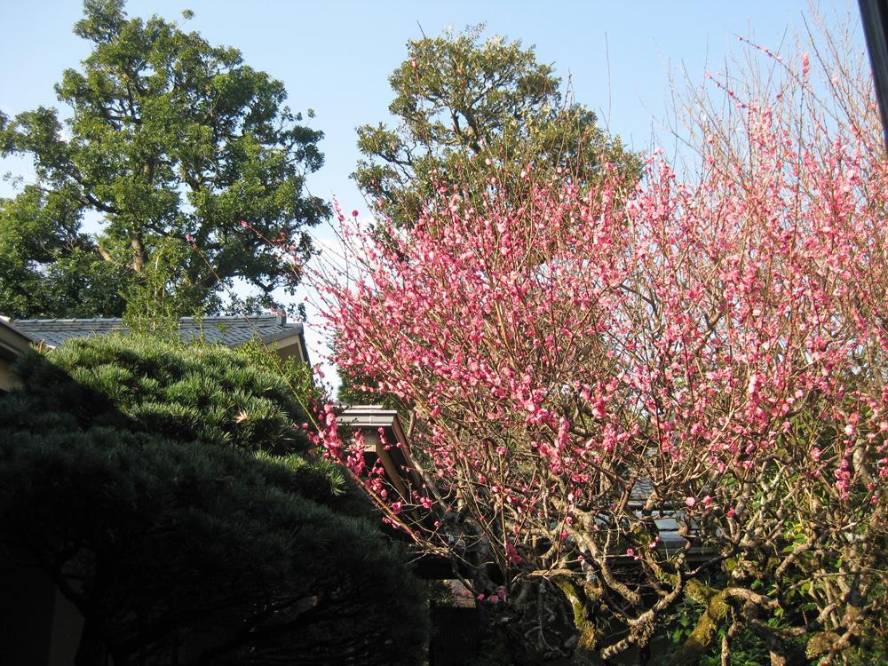 Gyokutei Hotel Hakone Luaran gambar